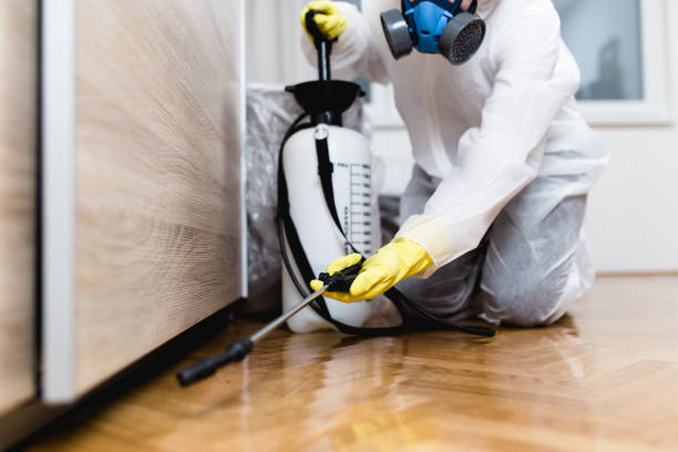 Best Flea Control Services  in Pawnee, IL