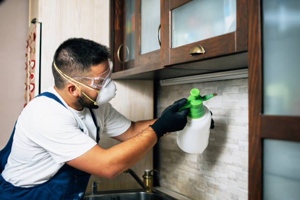 Best Local Pest Control Services  in Pawnee, IL