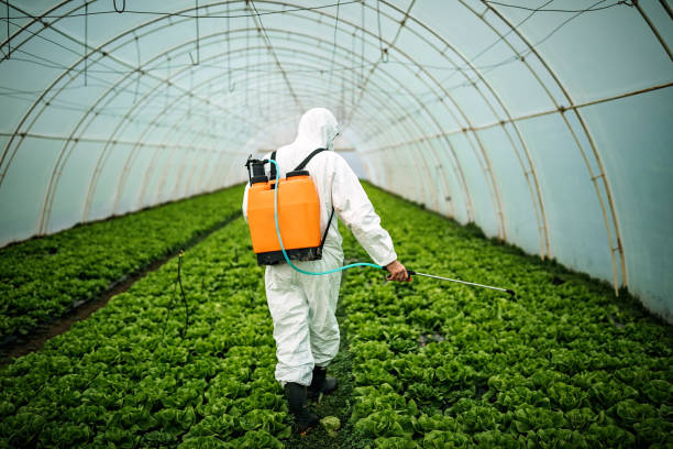 Best Affordable Pest Control Services  in Pawnee, IL