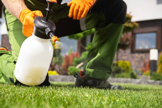 Best Affordable Pest Control Services  in Pawnee, IL