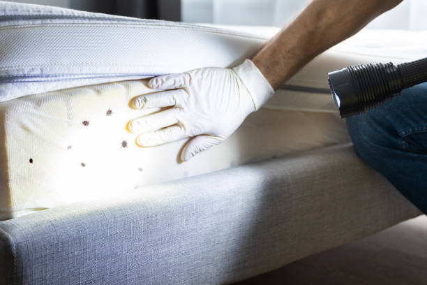 Reliable Pawnee, IL Pest Control Solutions