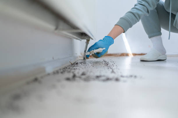  Pawnee, IL Pest Control Pros